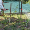 Arenz Pest Solutions Inc gallery