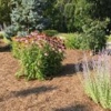 Taylor's Landscaping & Maintenance gallery