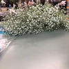 Conroy's Flowers gallery