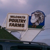 Miloski's Poultry Farm gallery