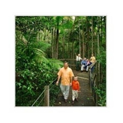 Gallery Image Number 3