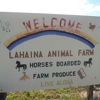 Lahaina Animal Farm & Guest Ranch gallery