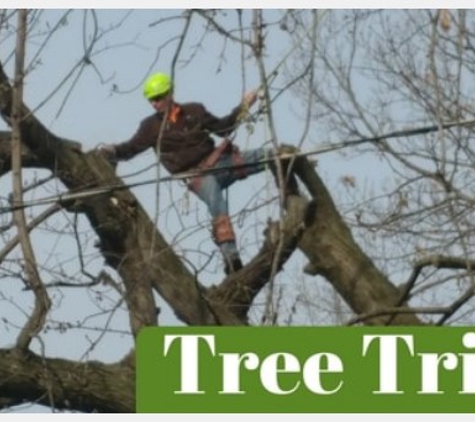 Tom's Tree Services - Albia, IA