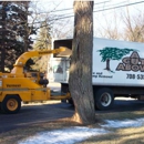A Cut Above Tree & Stump Removal, Inc. - Stump Removal & Grinding