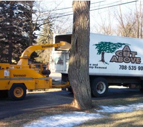 A Cut Above Tree & Stump Removal, Inc. - Oak Forest, IL