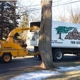 A Cut Above Tree & Stump Removal Inc