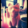 Wild Ginger gallery