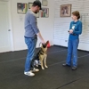 Front Range K9 Academy gallery