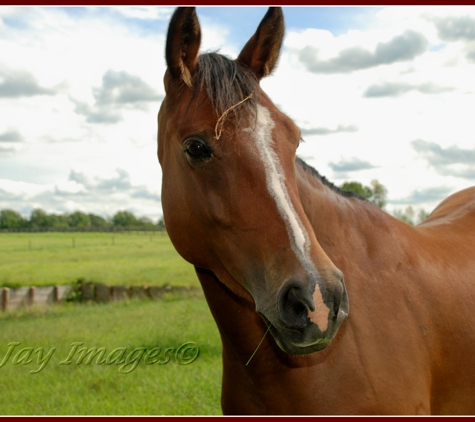 CeeJay Images - Elkton, MD