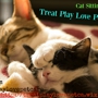 Treat Play Love Pet Care