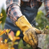 KD Tree service Rockville gallery