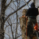 Dorman's Tree Cutting & Snow Plowing - Lawn Maintenance