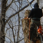 Dorman's Tree Cutting & Snow Plowing