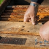 Davenport Pest Management gallery