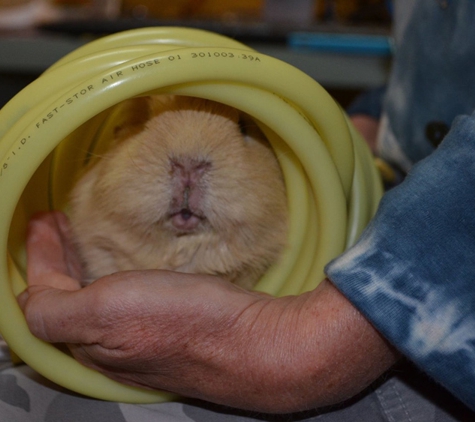 Sandy Bay Holistic Veterinary Clinic - Sandy Bay, TAS