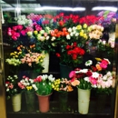 Halka's Florist - Flowers, Plants & Trees-Silk, Dried, Etc.-Retail