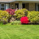 Wolff & Son's Inc. - Landscaping & Lawn Services