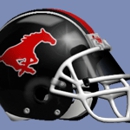 Parkway Central Jr. Colts - Football Clubs