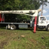Acadiana Tree Service And Stump Removal gallery