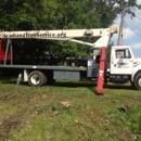 Acadiana Tree Service And Stump Removal - Tree Service