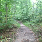 Warren Woods State Park