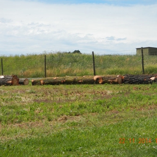 Woodstock Tree and Stump Removal - Coldstream, VIC