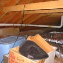 Radon Zapper - Radon Testing & Mitigation