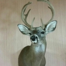 Wewa Taxidermy Store and Studio - Taxidermists