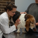 Irondequoit Animal Hospital - Veterinarians