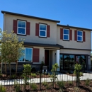 Sunrise at Homestead by Richmond American Homes - Real Estate Developers