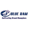 Blue Ram Inc gallery