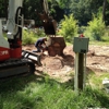 Lone Star Stump Grinding gallery