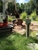 Lone Star Stump Grinding - Landscaping & Lawn Services