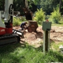 Lone Star Stump Grinding