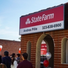 Andres Pina - State Farm Insurance Agent