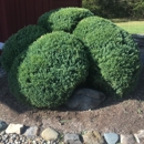 Casumik Lawn Services Inc - Landscape Contractors