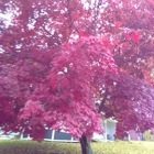 New Milford Public Library