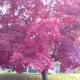 New Milford Public Library