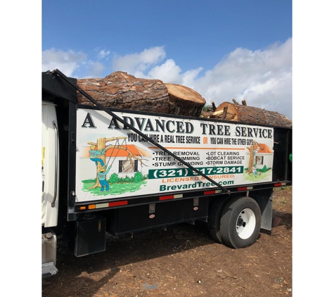 A Advanced Tree Service