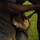 Mobile Horse Farrier