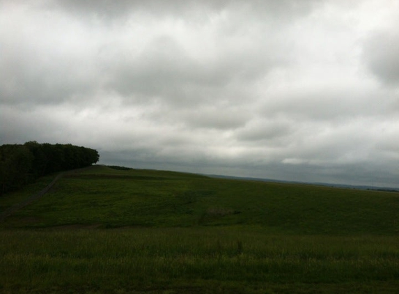 ELZ - wellsville Municipal Arpt,tarantine Field Airport - Wellsville, NY