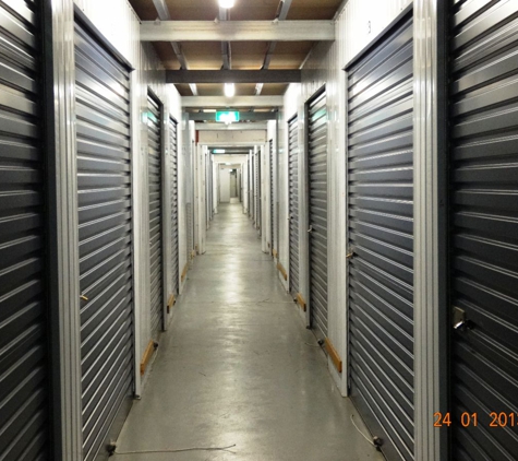 All Purpose Self Storage - Islington, NSW