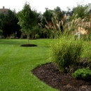 M &T Lawn Care - Lawn Maintenance