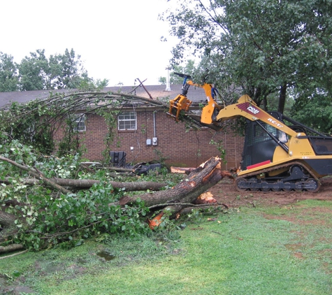 Ron Raby Tree Service