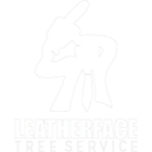 Leatherface Tree Service