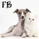 FurrBabies Pet Services, Pet Sitting and Dog Walking