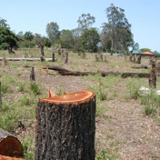 Gallery Image Number 5