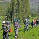 Big Wild Adventures - Sightseeing Tours