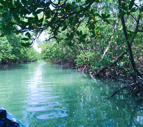 Naples Kayak Adventures - Naples, FL