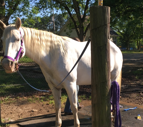 Hidden Creek Horse Farm, LLC - Fountain Inn, SC